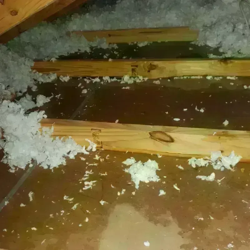 Attic Water Damage in Leipsic, OH